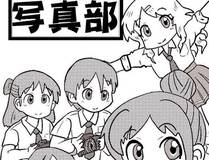 人鱼陷落封面
